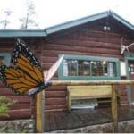 Butterfly Lodge Museum (image)