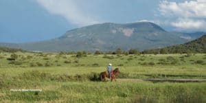 Escudilla Mountain Horseback Riding - Photo By Mead Publishing